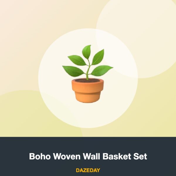 Boho Woven Wall Basket Set